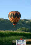 Woody the Hare Balloon