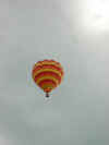 The Citrus Twist Set Against the Darkened Sky
